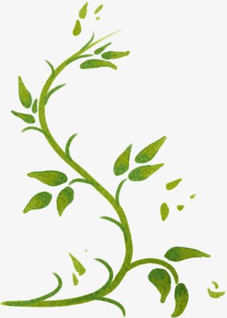 绿色手绘树枝美景免抠