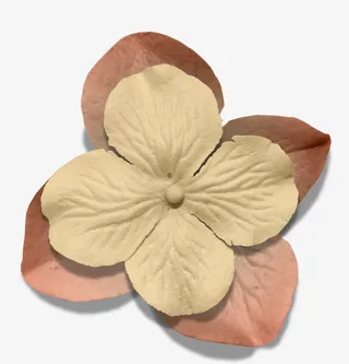 手绘花朵鲜花花卉免抠