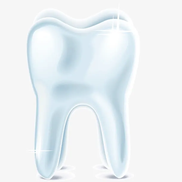 矢量医学观察牙齿免抠