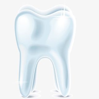 矢量医学观察牙齿免抠