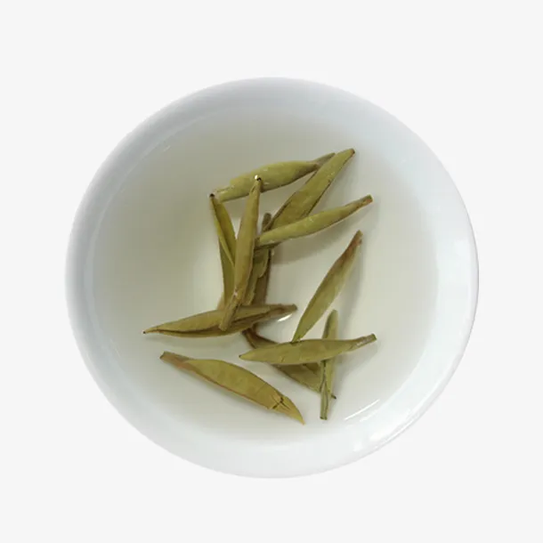 产品实物白毫银针茶水免抠