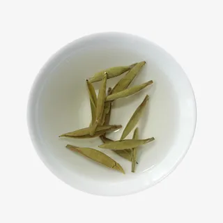 产品实物白毫银针茶水免抠