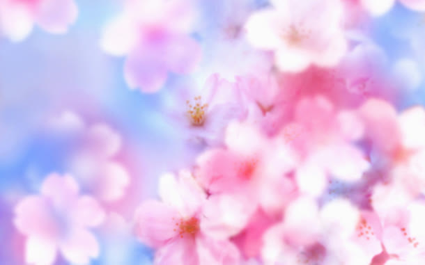 唯美桃花鲜花壁纸免抠