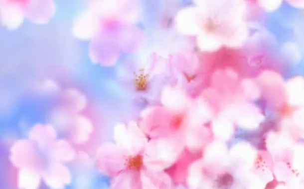 唯美桃花鲜花壁纸免抠