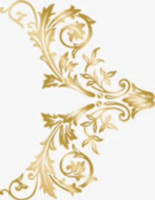 华丽闪耀唯美花纹免抠