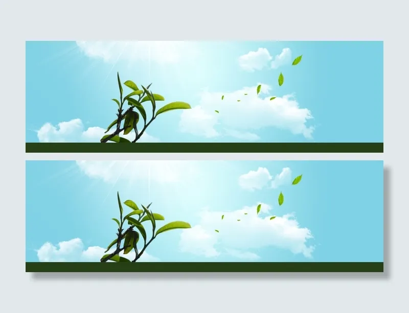 春茶、茶叶广告Banner高清