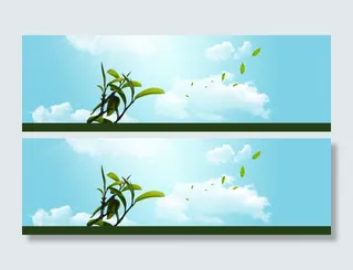 春茶、茶叶广告Banner高清