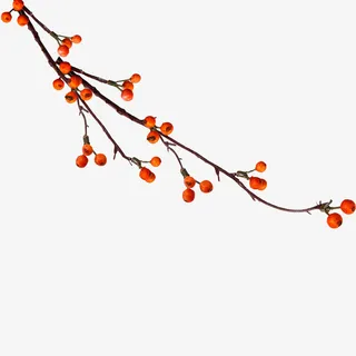 树枝上的红色果实免抠
