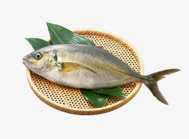 一条活鱼 新鲜海鱼免抠
