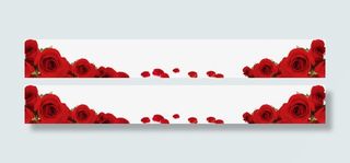 玫瑰花装饰框免抠