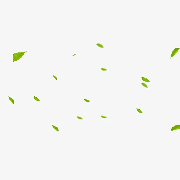 树叶 绿色 春天 装饰图案免抠漂浮叶子元素