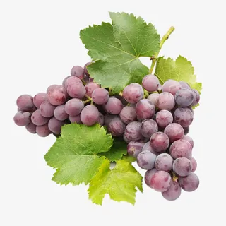 两串葡萄高清图免抠