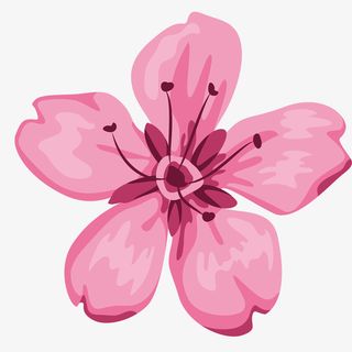 手绘桃花节桃花花朵素材免抠