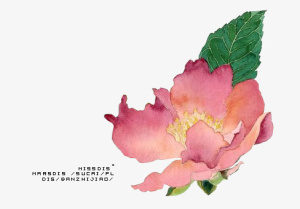 花免抠