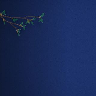 典雅中国风花纹主图背景素材高清