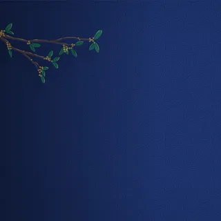 典雅中国风花纹主图背景素材高清