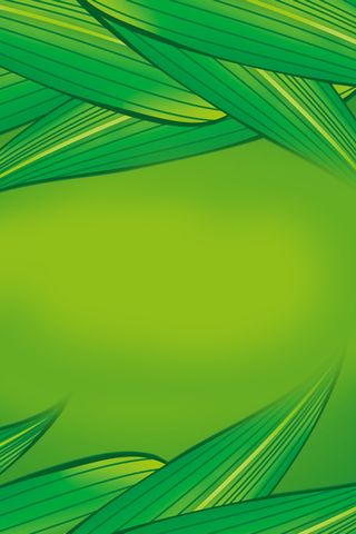 简约绿色端午佳节粽飘香中国风创意海报高清