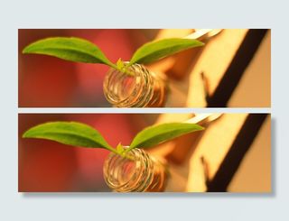 试管嫩芽试验摄影背景高清