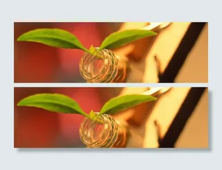 试管嫩芽试验摄影背景高清