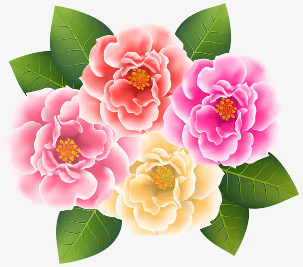 手绘菊花免抠