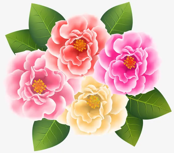 手绘菊花免抠