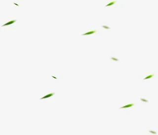 绿叶运动漂浮装饰免抠