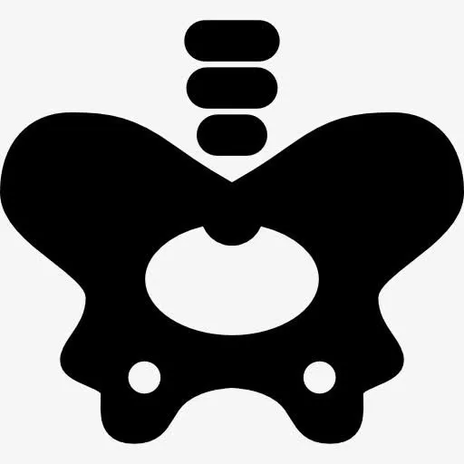 髋关节骨图标免抠