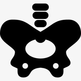 髋关节骨图标免抠