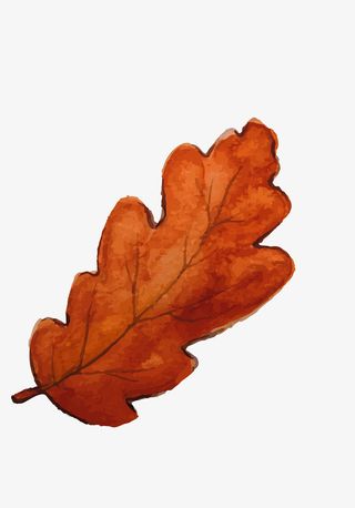 卡通简约落叶叶子装饰设计免抠
