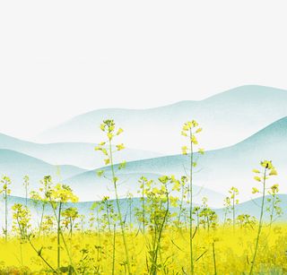 手绘装饰插图春日风景满地油菜花免抠
