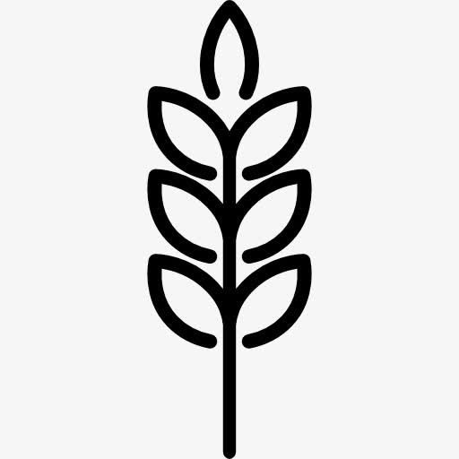 小麦穗图标免抠