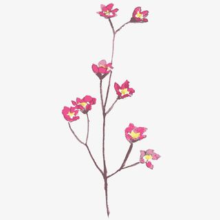 水彩唯美森系花卉Png免抠