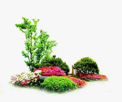 春天免抠
