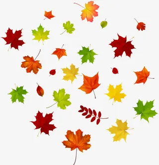 秋天枫叶红叶免抠