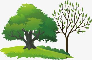 矢量大树免抠手绘/卡通卡通元素