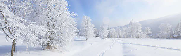 高清摄影白色的雪花世界树木免抠