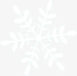 冬季白色雪花装饰花纹免抠