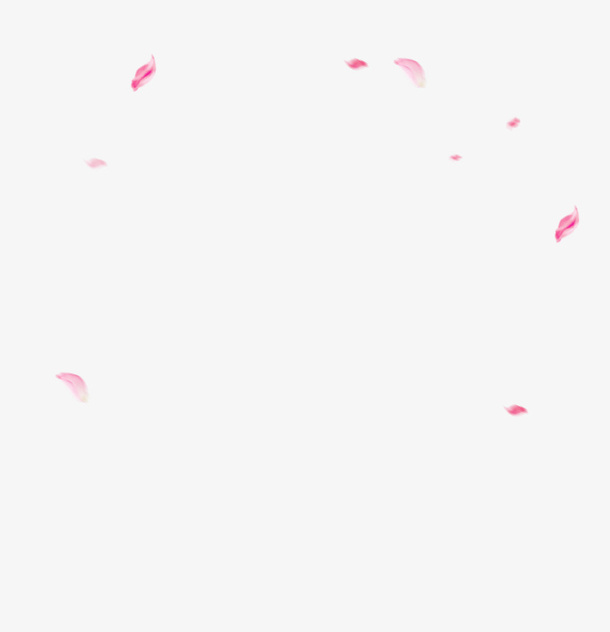 清新花瓣漂浮装饰PNG免抠