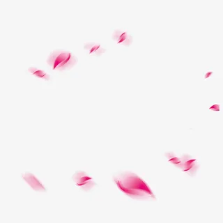 漂浮的花瓣免抠