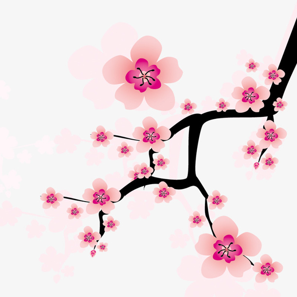 梅花免抠