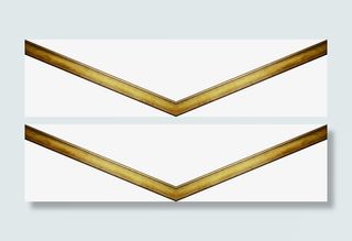 木纹边框会员制度免抠