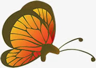 春天黄红色手绘蝴蝶装饰免抠