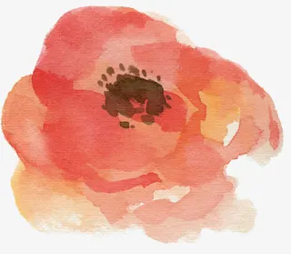 树叶素材树叶背景图片素材