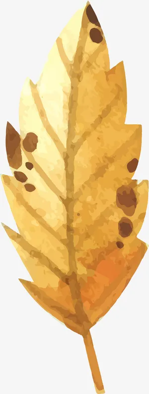 水彩复古落叶免抠