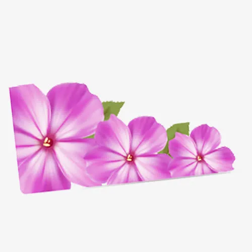 花朵免抠
