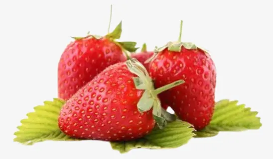 三颗草莓素材免抠