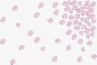 漫天飞舞的粉色花瓣免抠