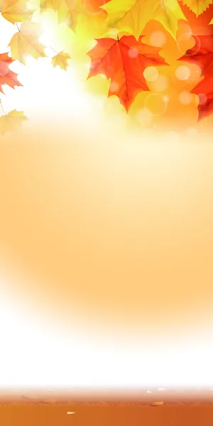 浅黄枫叶背景高清