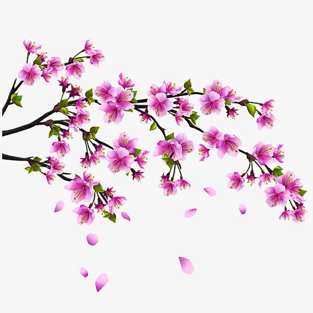 桃花免抠