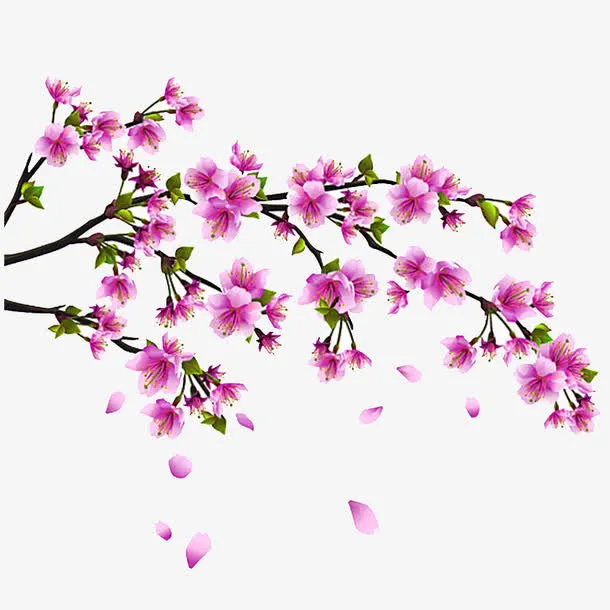 桃花免抠